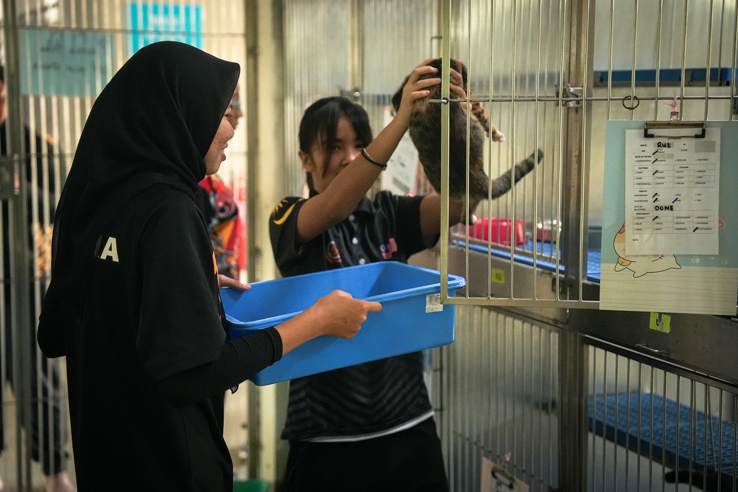 Majlis Sukan Negara Malaysia | Majlis Sukan Negara Malaysia Majlis Sukan Negara Malaysia | Majlis Sukan Negara Malaysia